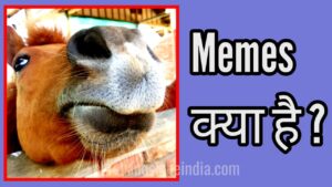 memes meaning in hindi 